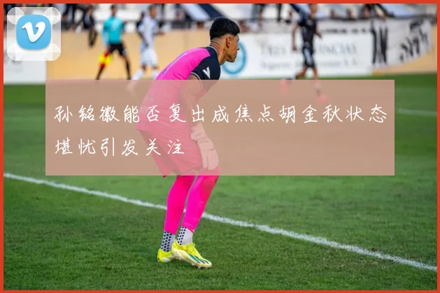 孙铭徽能否复出成焦点胡金秋状态堪忧引发关注